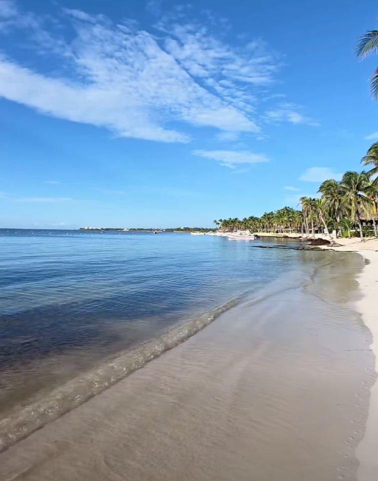 A narrow strip of sand along the shore at Akumal, with palms behind