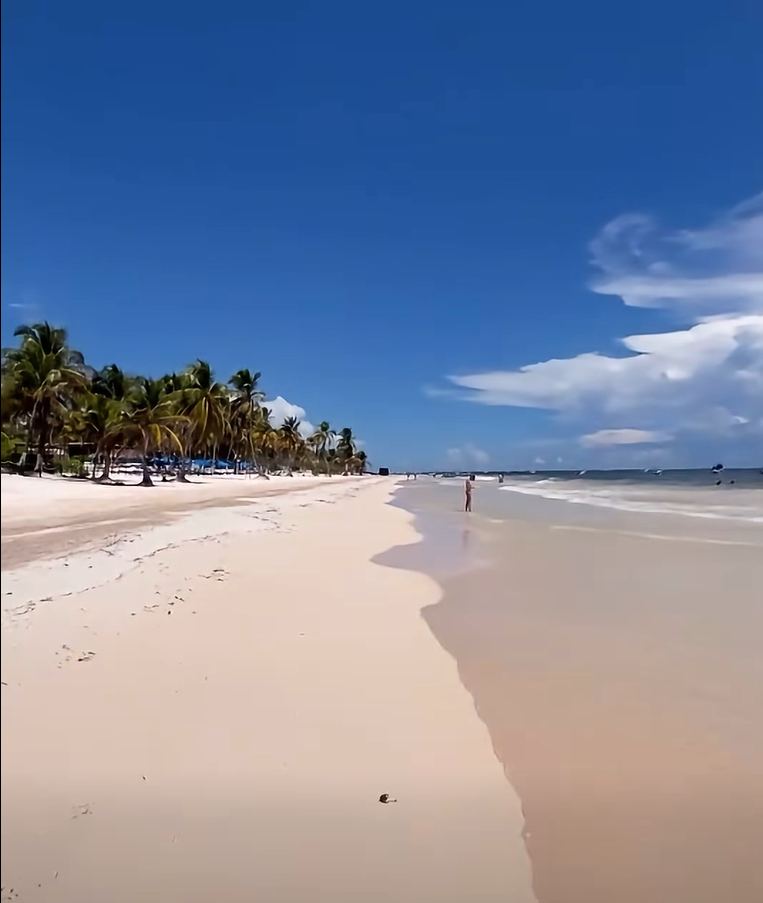 A very wide white sand beach lined with palms at Playa Paraíso, Tulum, under a blue sky