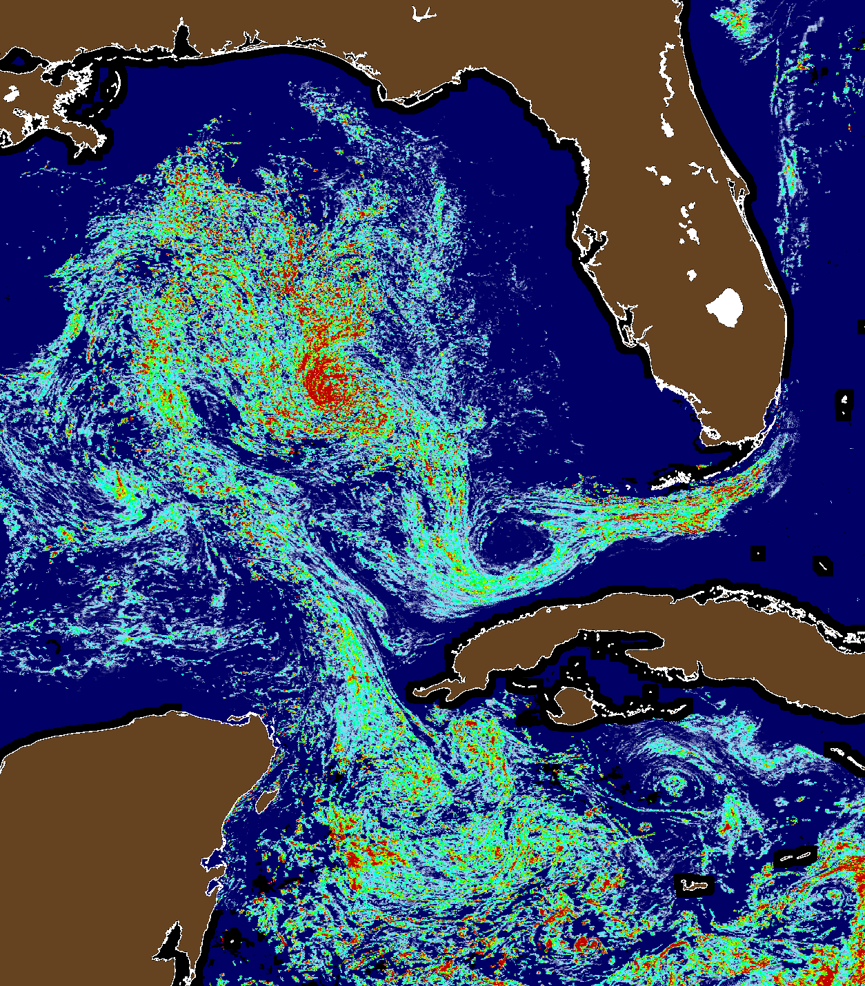USF satellite sargassum-density map of the eastern Gulf of Mexico, showing dense mats swirling through the Gulf, threading through the Florida Straits between the Keys and Cuba, while Florida's west coast stays clear