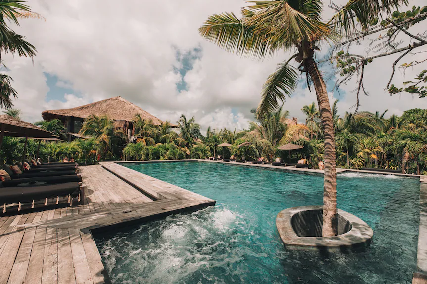 A tranquil palm-shaded pool with a palm growing through the deck at Radhoo Tulum