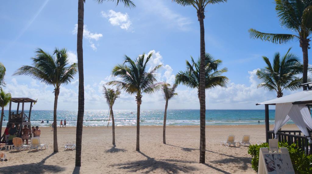 Palms, loungers and wide sand in front of a resort at Playacar Fase 2