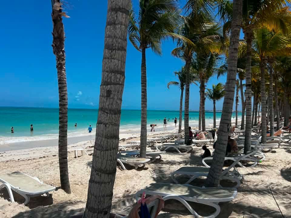 Costa Mujeres beach lined with palm trees and sun loungers, with clear turquoise water and swimmers
