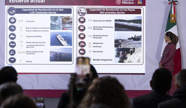 President Claudia Sheinbaum at the National Palace press conference beside a slide presenting the current sargassum collection capacity at sea and on beaches