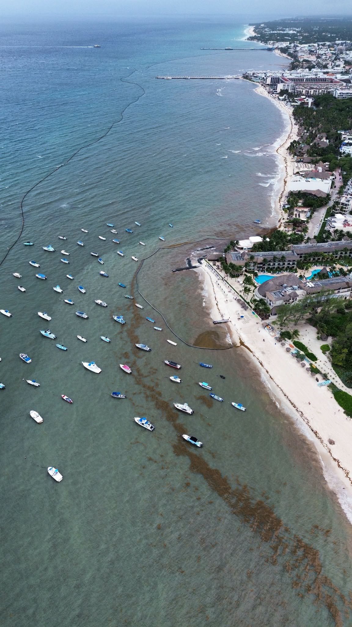 Aerial view of Playa Cisne in Playa del Carmen on October 2, 2026, with moored boats, the containment barriers offshore and long bands of sargassum floating along the shore